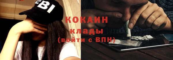 индика Заводоуковск