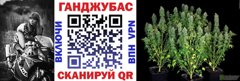 Купить где Кинель Шишки марихуана планчик